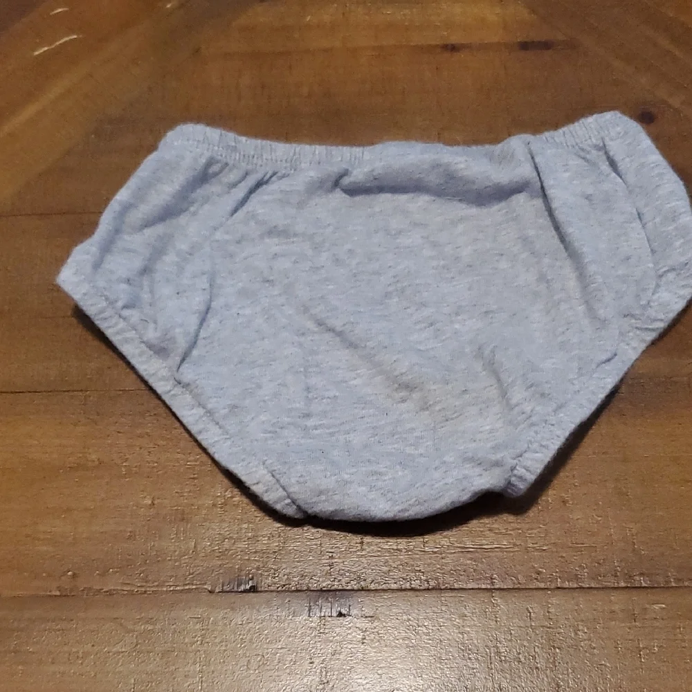 🐻 Carter's Gray Diaper Cover
